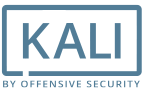 Kali Linux - website security testing tools online