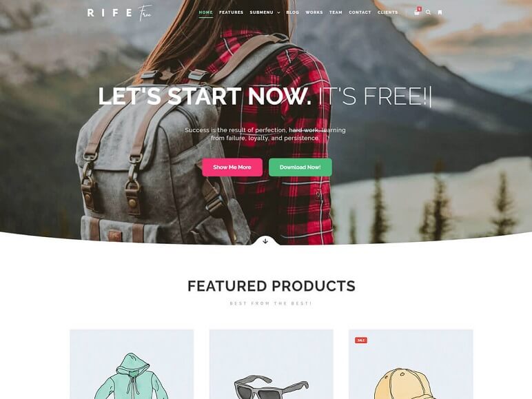 Rife Free - Best Free WordPress Themes For Business