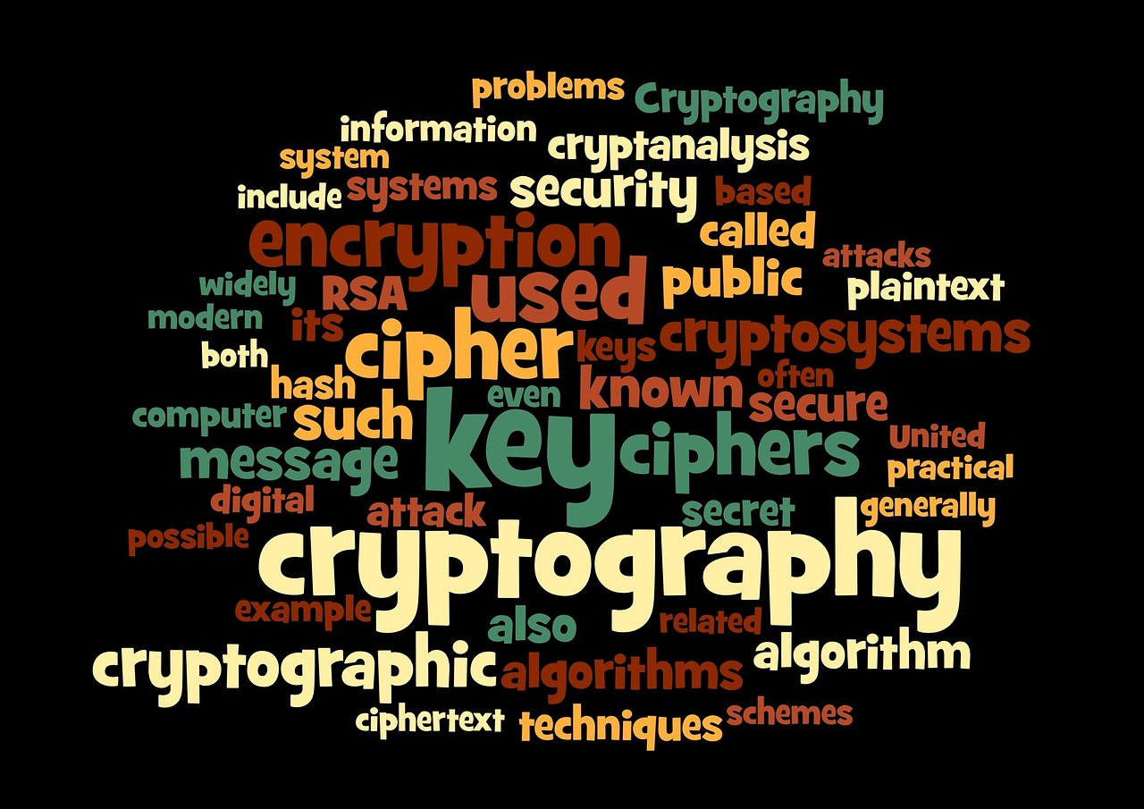 Cryptographer or Cryptoanalyst